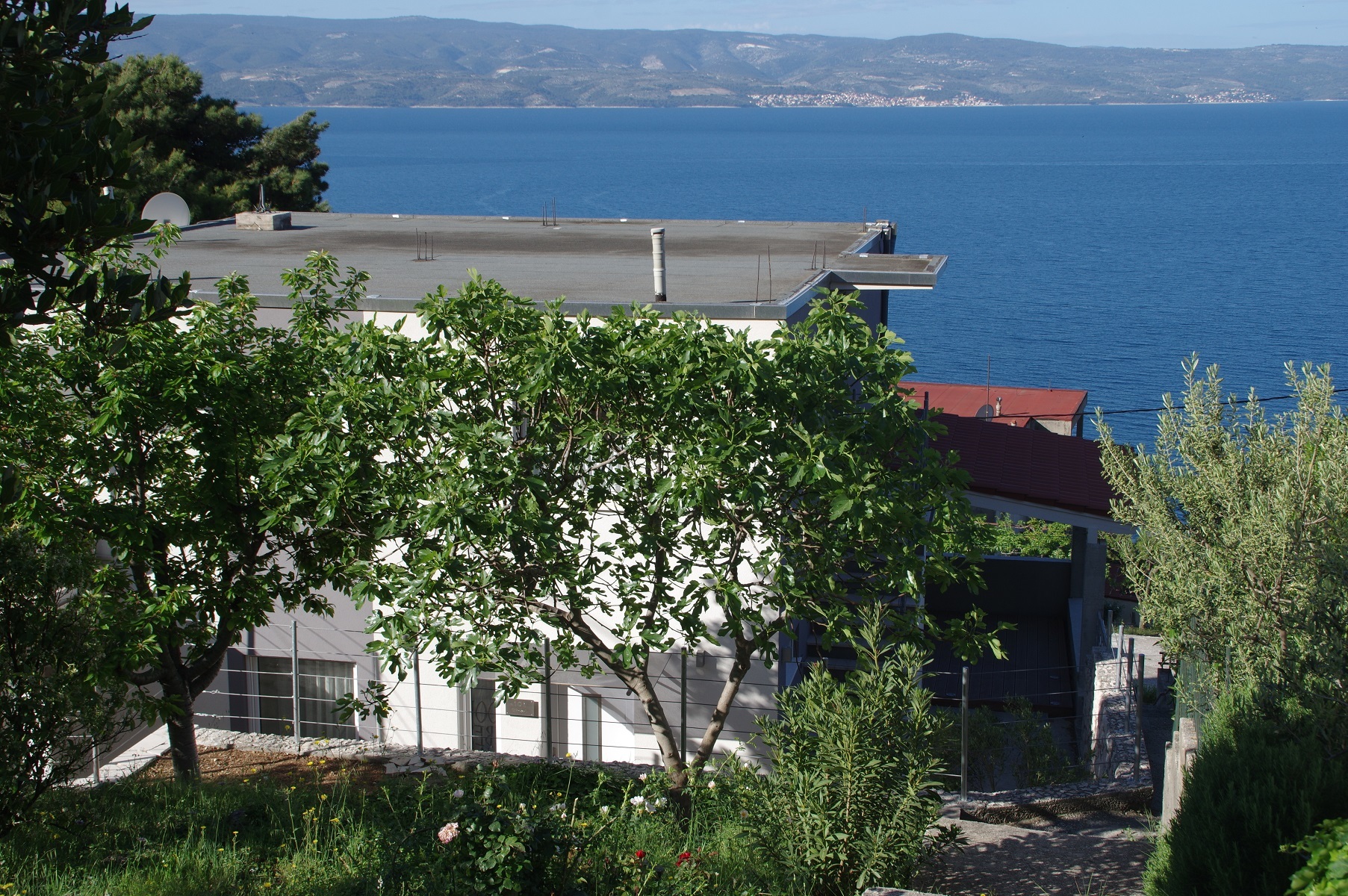 Blick vom Garten auf die Insel Brac