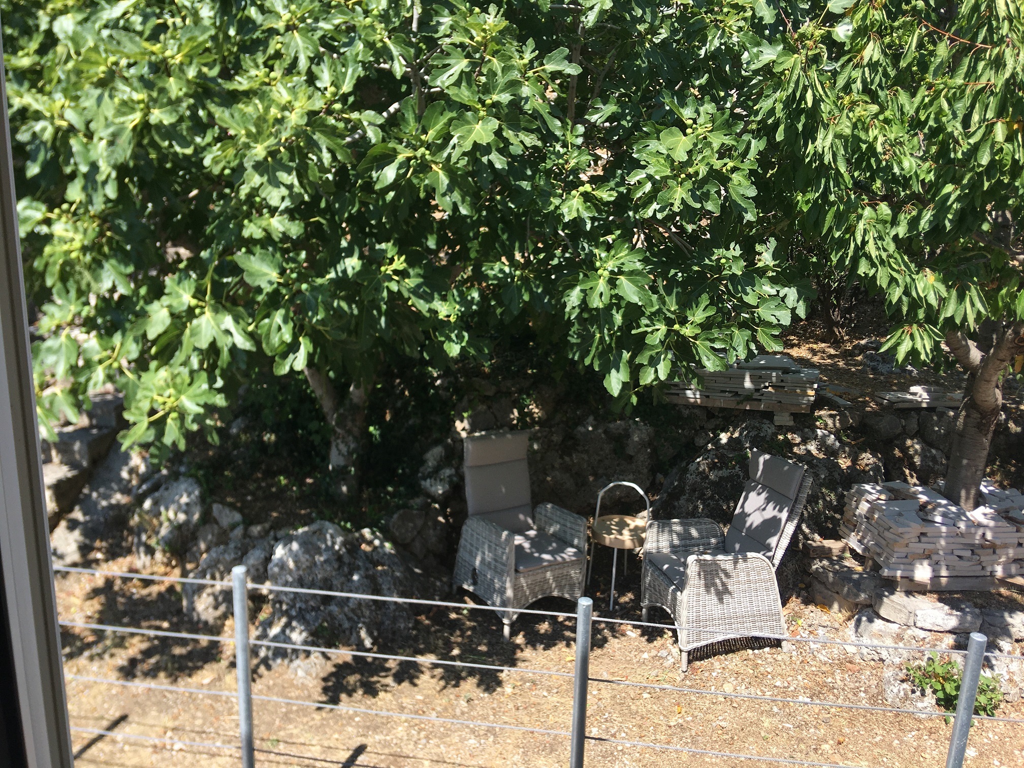 ROSSO Sitzplatz im Schatten des Feigenbaums